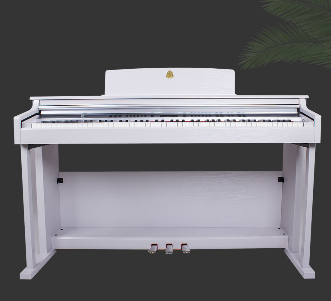 Taishan Electric Piano